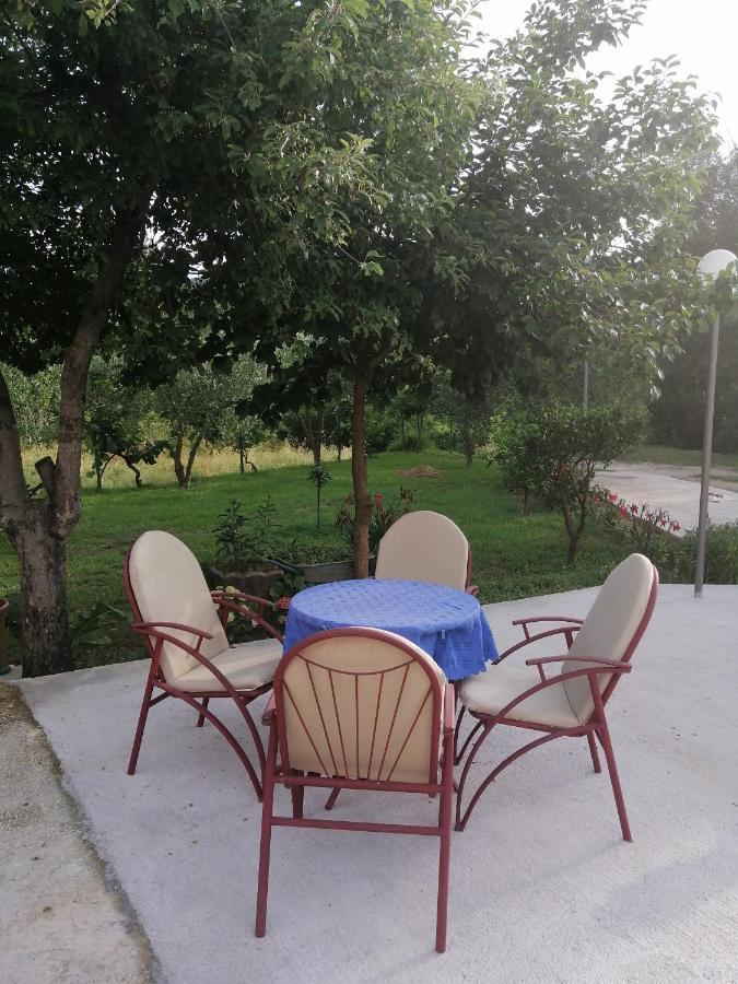 Apartman Petovic コトル エクステリア 写真